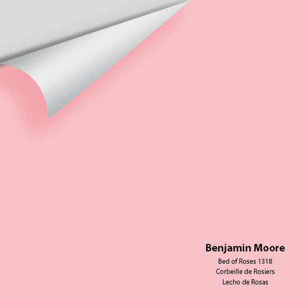 Cameo Rose 071  Benjamin Moore