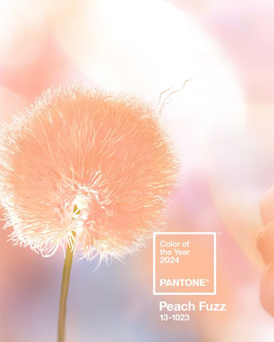 Pantone Colour of the Year - 2024 - Peach Fuzz