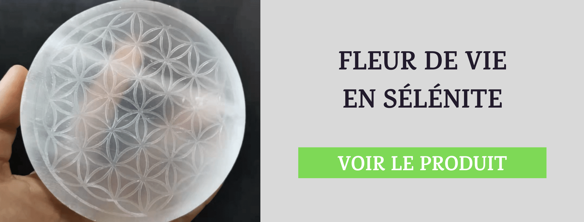 Fleur de Vie en Sélénite