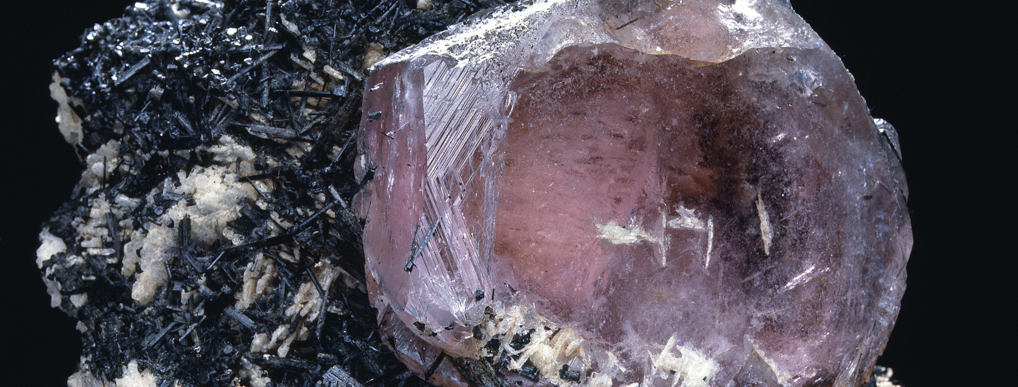 Pierre Morganite