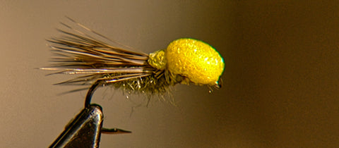 Roman Moser Ballon Caddis tied by Oliver Edwards