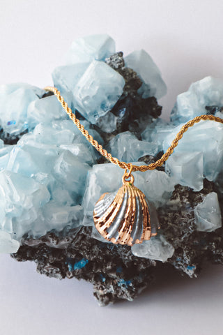 seashell necklace for beach waterproof jewelry brand cheap affordable