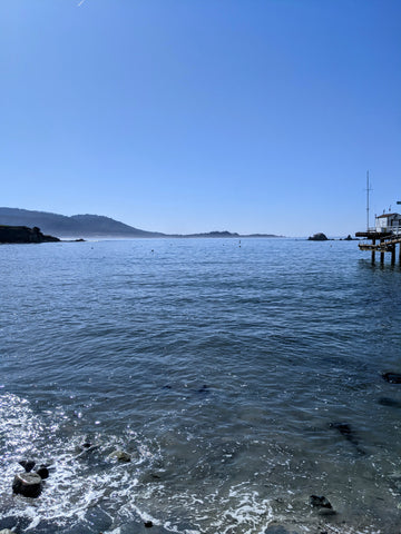 Picture of Stillwater Cove in Carmel, dock on right side, foothills in distance