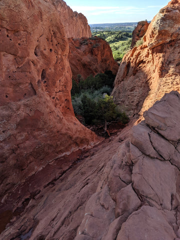 Picture from Garden of the Gods in Colorado Springs, red rocks and green shrubery in the distance.