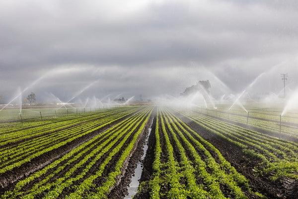 agriculture smart irrigation