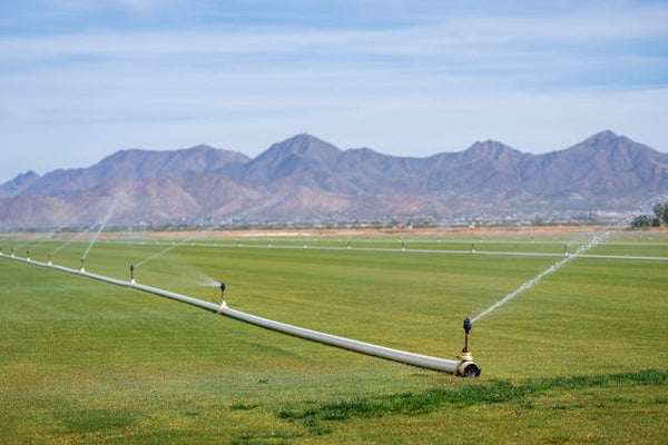 water irrigation