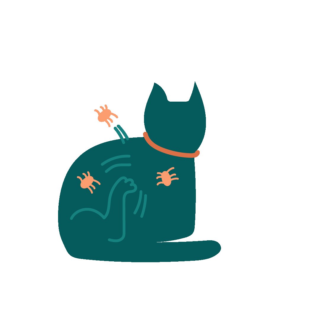 Herbe à chat Cat-Gras : avis, test, prix - Conso Animo