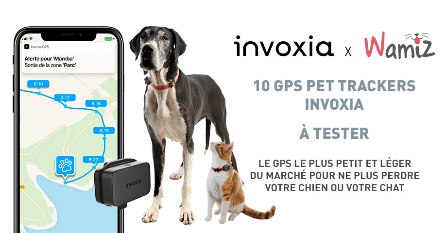 Invoxia Traqueur GPS pour chats et chiens, y compris les cl