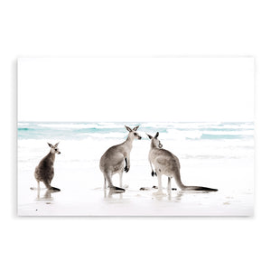 Three kangaroos enjoying some time on the beach wall art print , available in natural timber, black or white frames.