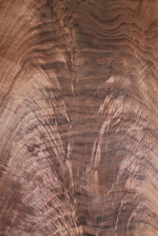 A close up of a walnut wood crotch grain in the wood