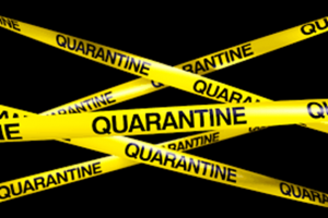 quarantine