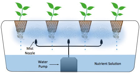 How do aeroponics work?