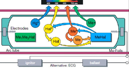 CMH bulb diagram showing chemical compounds in a CMH grow light.