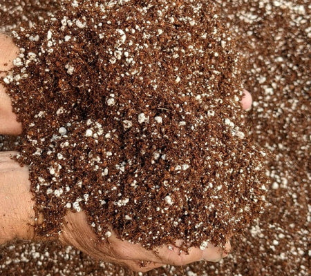 Coco coir and perlite mix for hydroponics.