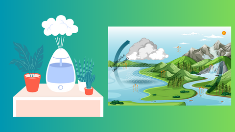 a photo of a humidifier and plants and the water cycle