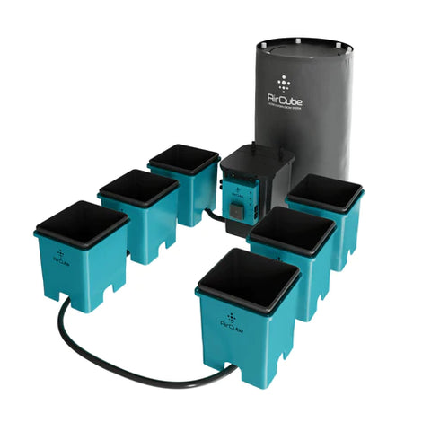 photo of the 6 site AirCube Active Oxygen Ebb and Flow Grow System