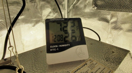 Hygrometer for an indoor grow room or grow tent.