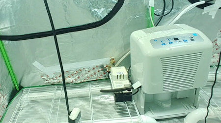 A mini air conditioning unit inside of an indoor grow tent helping regulate the heat inside.