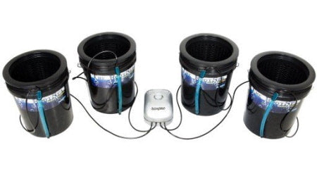 Root Spa 5 Gal 4 DWC Bucket System for indoor grow rooms and grow tents.