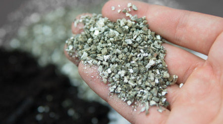 Vermiculite for hydroponics.