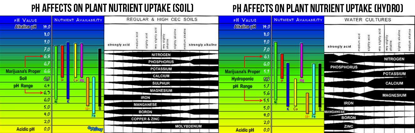A guide to the appropriate and optimal pH levels your plants should be receiving.