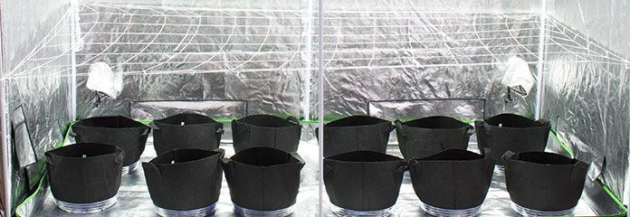 Fabric pots in grow tent