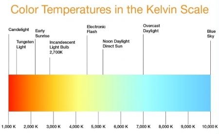 T5 Grow Light Guide