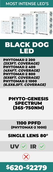 Full Spectrum LED Grow Lights 101: Buying Guides