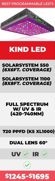 Full Spectrum LED Grow Lights 101: Buying Guides