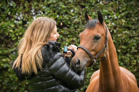 Lady giving her horse CBD oil