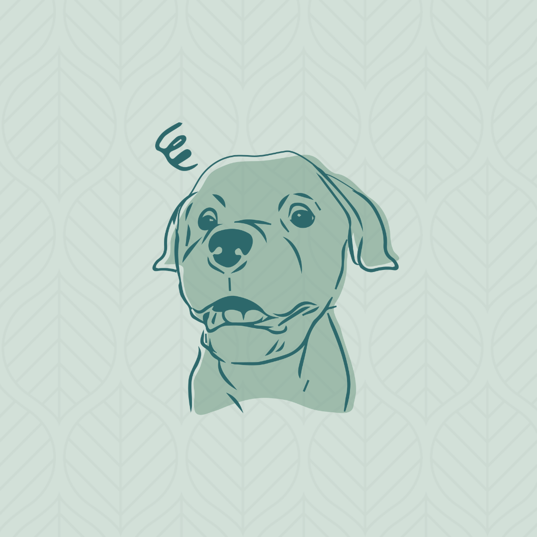 Infographic of Dog being Anxious