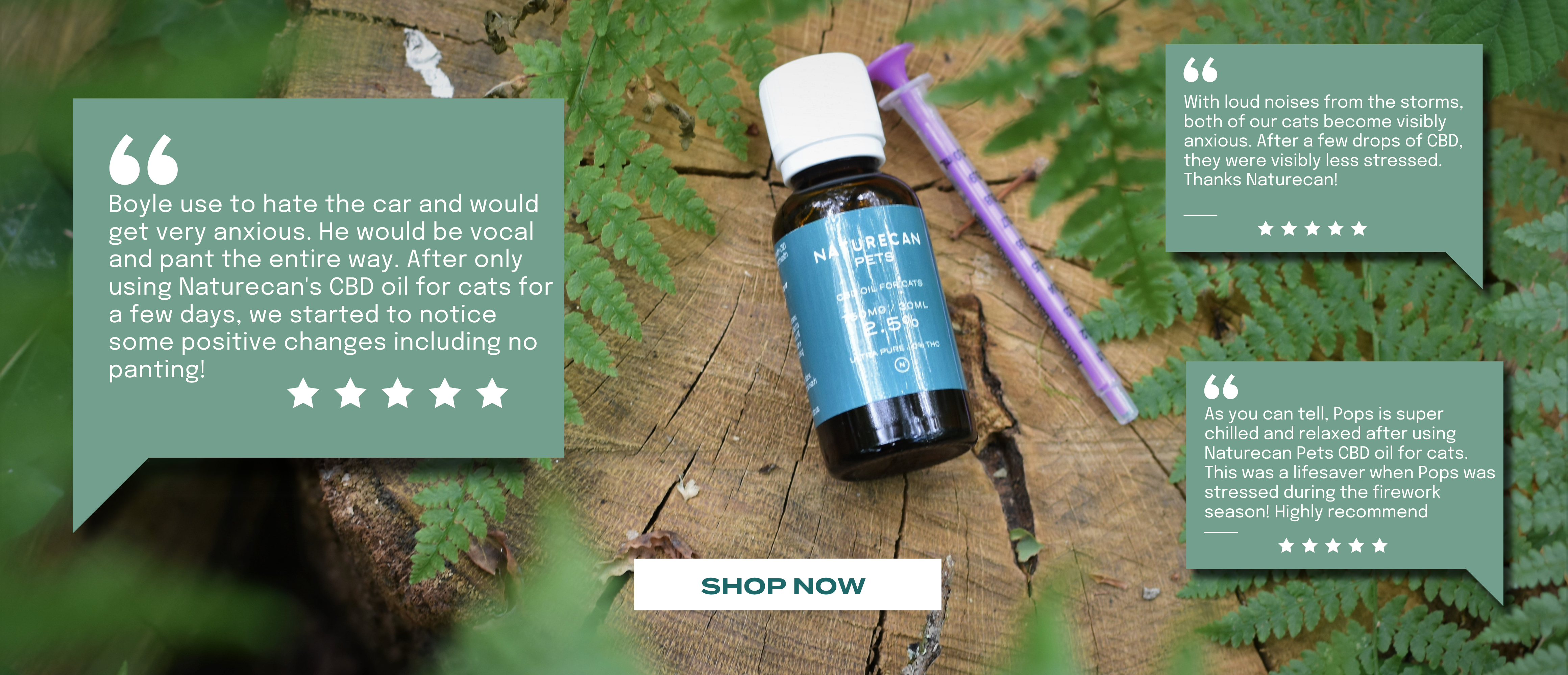 Product shot of CBD oil for cats on a log with 5 star reviews around it