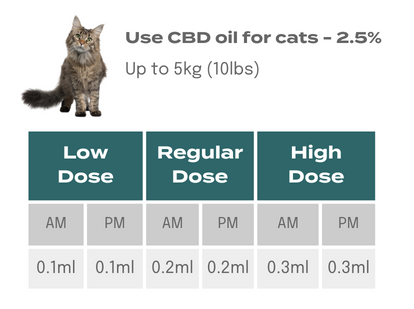 CBD Dosage for cats weighing under 5kg