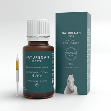 CBD oil for Dogs - 3%