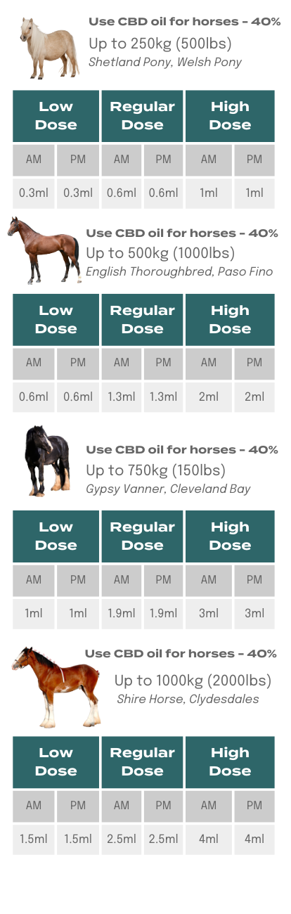CBD dosage for dogs weighing between 25 and 50kg