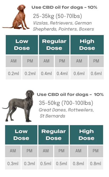 CBD dosage for dogs weighing between 25 and 50kg