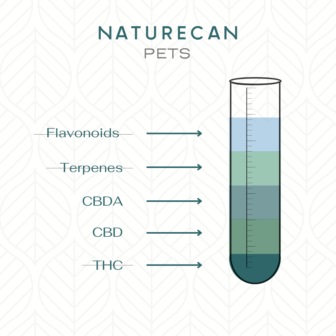 Lab tube with Flavonoids, Terpenes, CBDA, CBD and THC