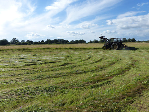Mowing in a spiral, tractor in the background, curved swath in foreground