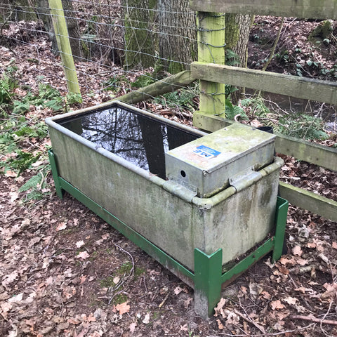 Livestock drinking trough on Yorkshire Wildlife Trust land