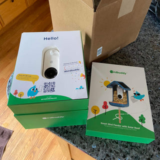 birdbuddy review