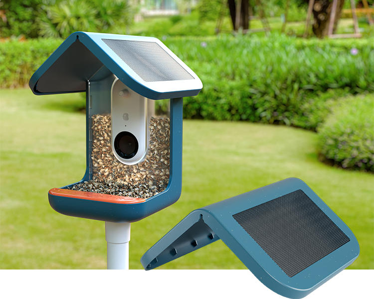 https://cdn.shopify.com/s/files/1/0558/0718/0983/files/bird_buddy_solar_roof_hero.png?v=1657614559