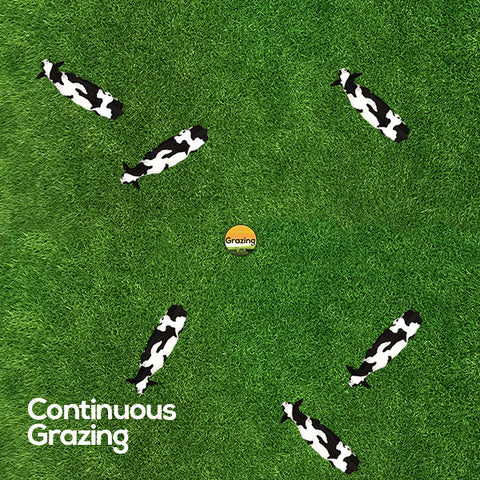 Example shown of a continuous grazing setup. Cattle in a field with sections eating all the forage as they please.