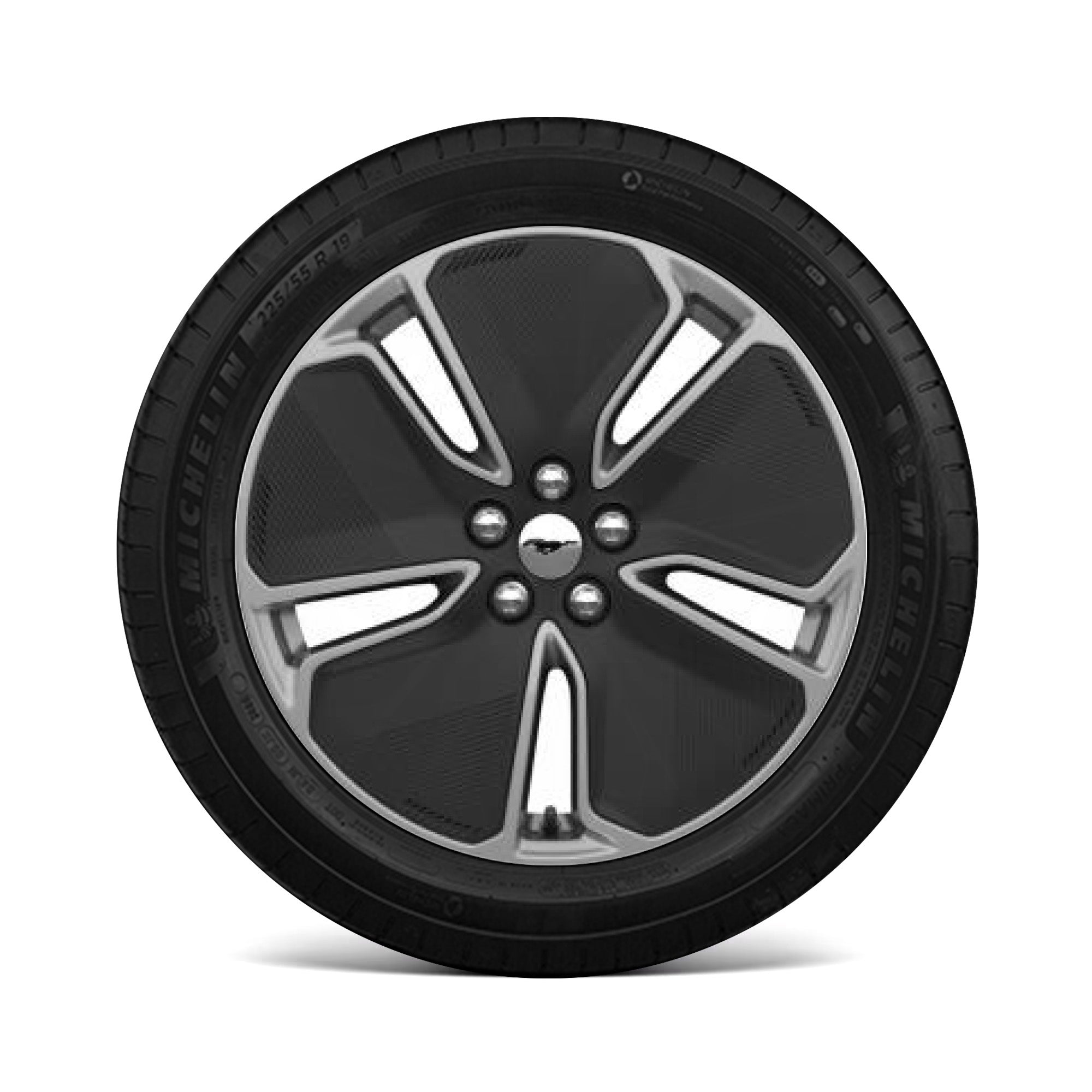 19 inch Ford Mustang Mach-E Select Wheel