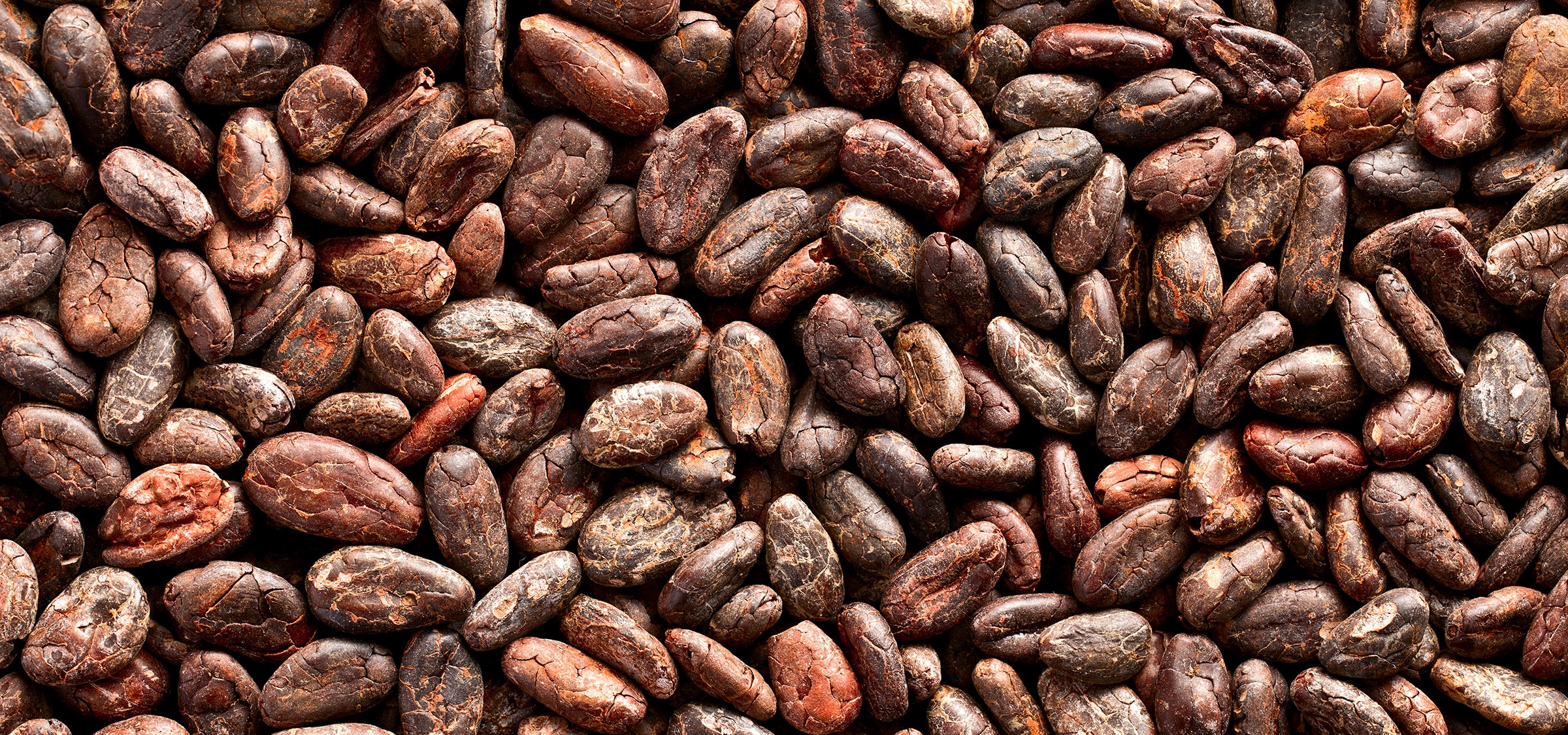 Cacao beans