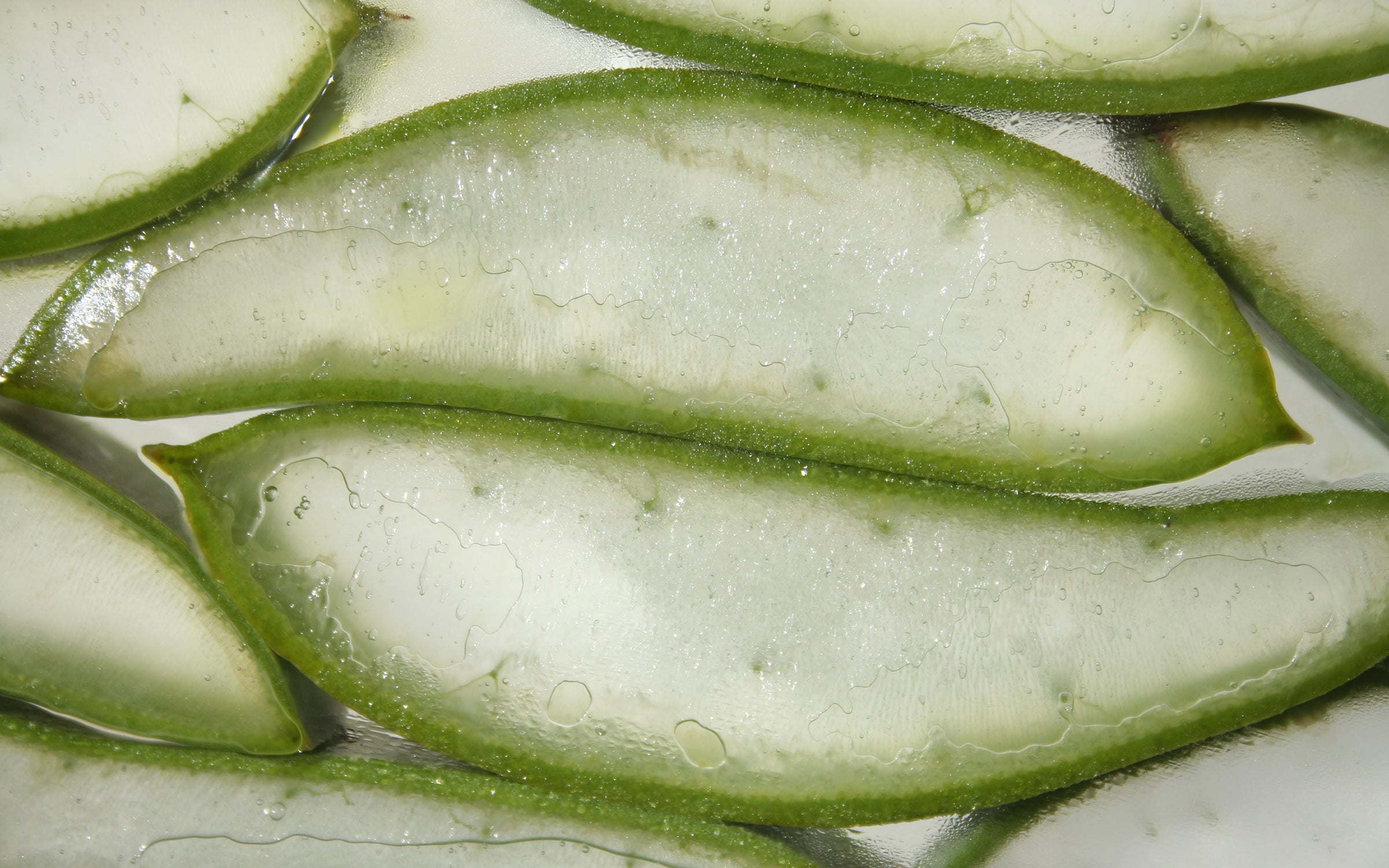 Aloe vera slices from Santaverde Finca