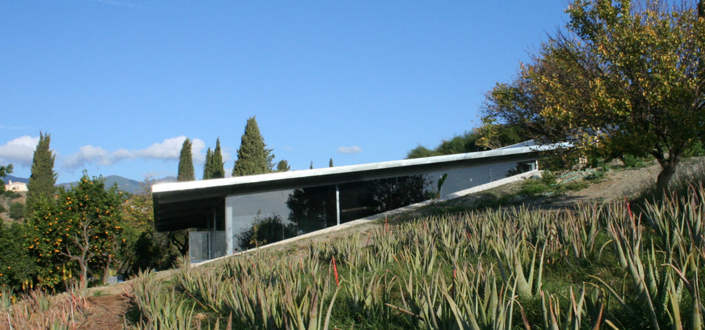 The Laboratory in the middle of the aloe vera fields on the Santaverde Finca.  