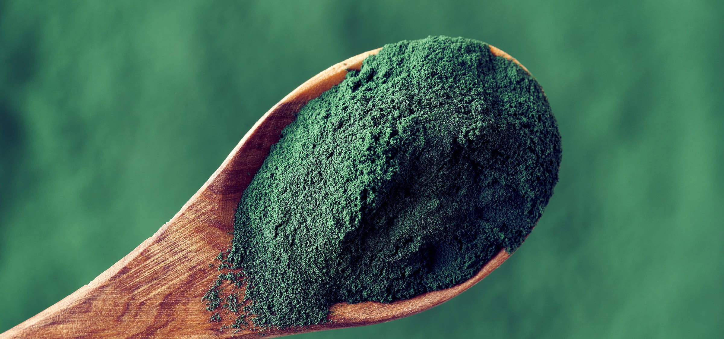 Spirulina powder on a wooden spoon