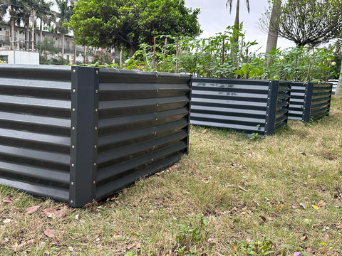 raised garden bed