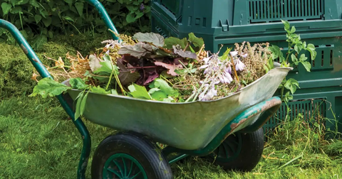 raised garden bed