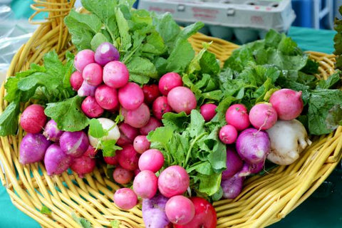 Radishes